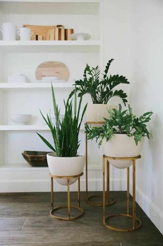 Rule of Three Planters by Kimberlee Marie Interior Design in WA